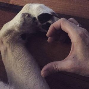 Meet your Posher, Natalia